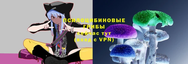 марки lsd Богданович
