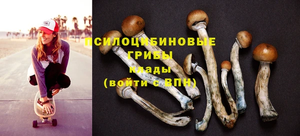прущий лед Богородск